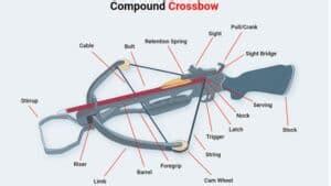 How Crossbow Works Understanding The Mechanics Of A Crossbow