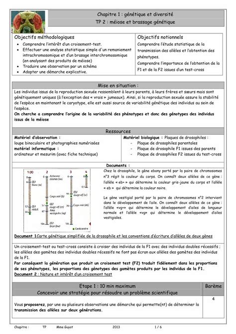 Pdf Chapitre G N Tique Et Diversit Tp M Iose Et Objectif