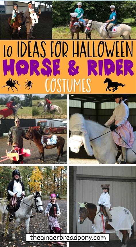 halloween horse  rider costumes ideas horse camp horse halloween