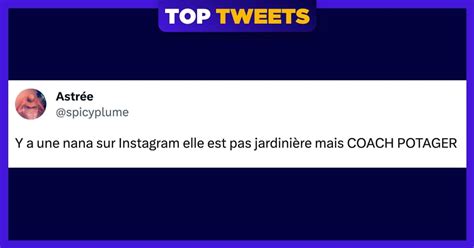 Top 14 Des Meilleurs Tweets Sur Le Potager Le Meilleur Coin Du Jardin