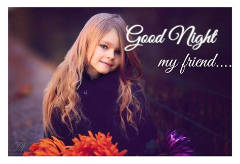 Good Night My Friend - Premium Wishes