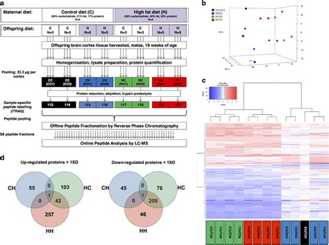 Proteomics Workflow And Labelling Scheme B Principal Component