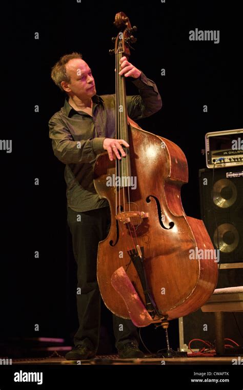 Double Bass Player Alec Dankworth Performing At Brecon Jazz Festival