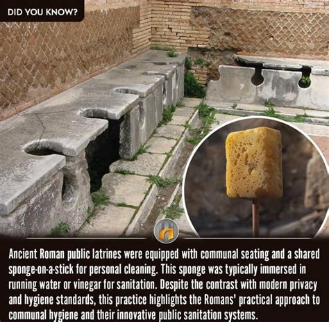 Did You Know Ancient Roman Public Latrines Were Equipped With Communal