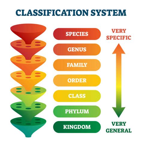 1,810,400+ Species Classification Stock Photos, Pictures & Royalty-Free Images - iStock