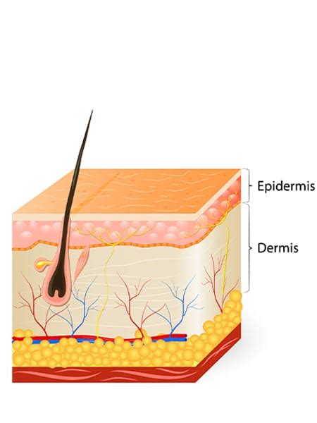 Chemical Peels New Drug Loft And VLS Pharmacy