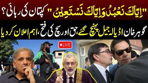 Live 🔴 Imran Khan Victory Barrister Gohar And Sher Afzal Marwats Media Talk 92newshd Youtube