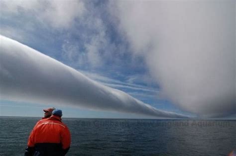 I want to witness morning glory clouds on the Gulf of Carpentaria in ...