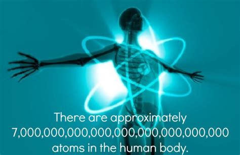 Grow By Learning How Many Atoms Are In The Human Body