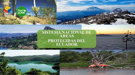 Portafolio Virtual de Realidad Social y Ecológica Tema 3