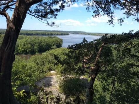 Best Hikes and Trails in Mississippi Palisades State Park | AllTrails