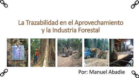 Calaméo 021 La Trazabilidad En El Aprovechamiento E Industria Forestal