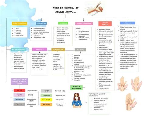 Mapa Conceptual Muestra Arterial Mariela Eneque Udocz