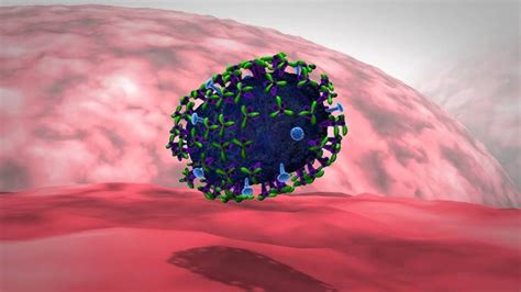 Influenza Virus Life Cycle Animation