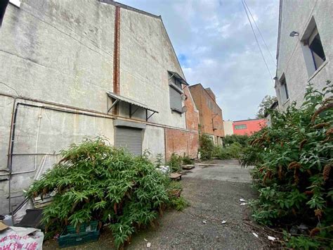 Ormeau road belfast shops are seeing a record number of visitors 7