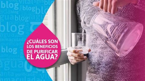 Conoce 6 Principales Beneficios De Purificar El Agua