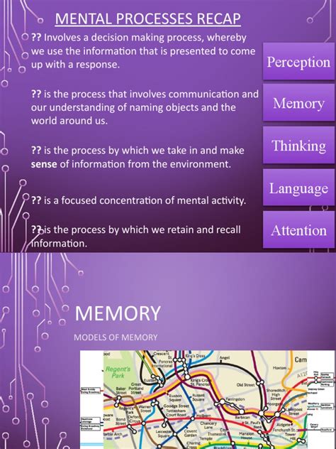Mental Processes Recap: Perception Memory Thinking | PDF | Memory ...