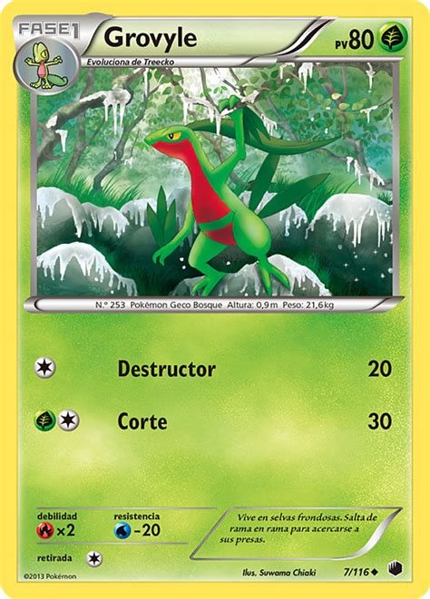 Treecko XY36 XY Cartas Promocionales Pokémon Paraíso