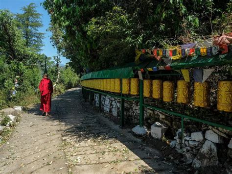 When Is The Best Time To Visit Dharamshala Times Of India Travel