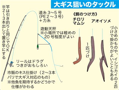 キスの釣り方 関西のつりweb 釣りの総合情報メディアmeme