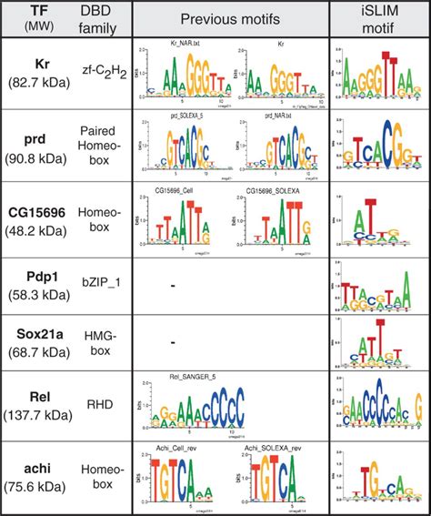 Determination Of Dna Binding Motifs By De Bruijn Analysis Of Seven Tfs