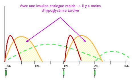 Mise Jour Imagen Formule Insuline Fr Thptnganamst Edu Vn