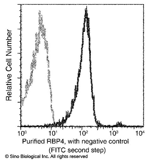 Rbp4 Antibodies Anti Rbp4 Sino Biological