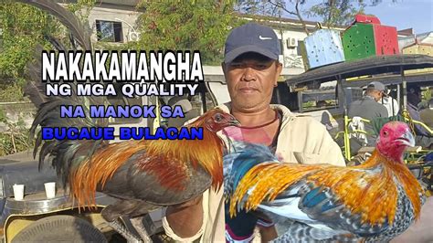 Nakakamanghang Quality Na Manok Dito Sa Bucaue Bulacan Tonyvlogs Youtube