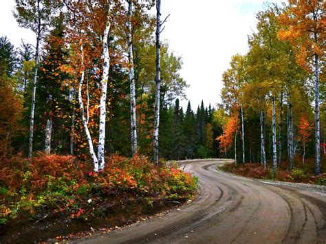 Un appel de projets lancé par la MRC dAntoine Labelle L info du Nord