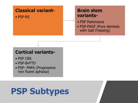 Progressive Supranuclear Palsy And Multiple System Atrophy Ppt