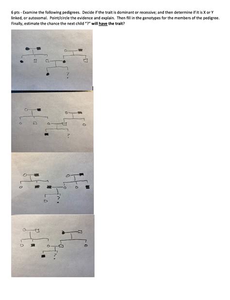 Solved Pts Examine The Following Pedigrees Decide If Chegg