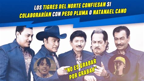 Los Tigres Del Norte Confiesan Si Colaborar An Con Peso Pluma O