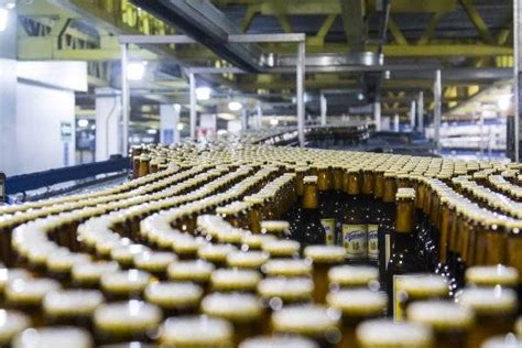 Industria Cervecera En M Xico Reactivar Su Producci N En Junio