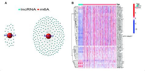 Screening Of Hub Lncrnas A Network Of The Selected M A Related