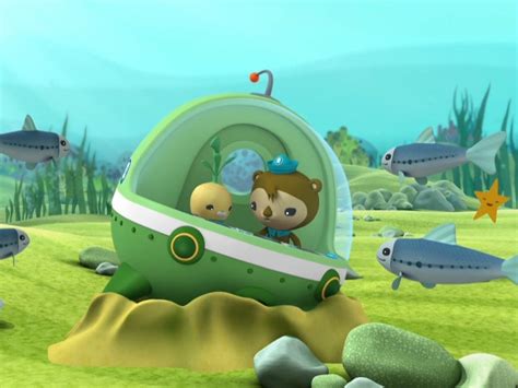 Immortal Jellyfish Octonauts