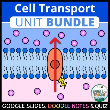 The Cell Membrane Doodle Notes - Emmatheteachie