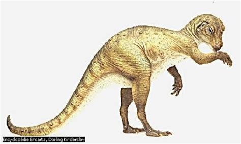 Heterodontosaurus Pictures And Facts The Dinosaur Database