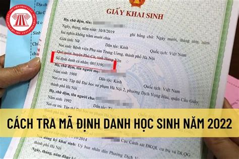 Cách tra mã định danh học sinh mới nhất năm 2022? Mã định danh học sinh ...