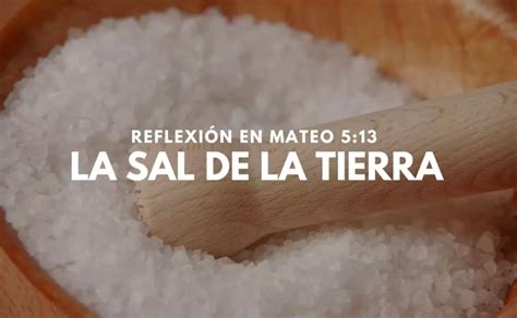 Vosotros sois La Sal de la Tierra Reflexión Mateo 5 13