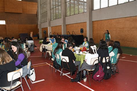 Despedida Y Licenciatura Cuartos Medios 2023 Colegio Alicante De La