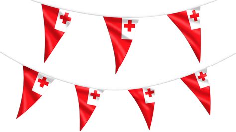 Tonga Bunting Hampshire Flag Company