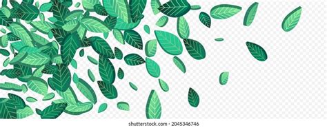 Swamp Leaves Flying Vector Transparent Background Stock Vector Royalty