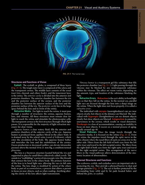 solution  visual  auditory systems studypool