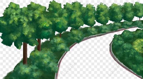 Plant Green Belt Green Simple Green Illustration Green Trees PNG