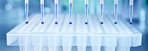 The Importance of Parallelism in Biomarker Assay Development | BioAgilytix