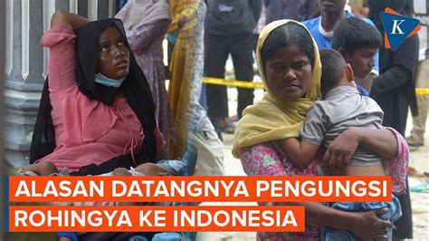 Alasan Pengungsi Rohingya Banyak Yang Datang Ke Aceh Youtube