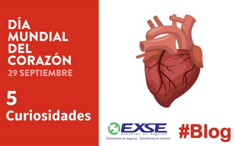 Día Mundial Del Corazón 5 Curiosidades Exse