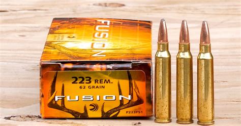 22lr Vs 223 Which One Is Better