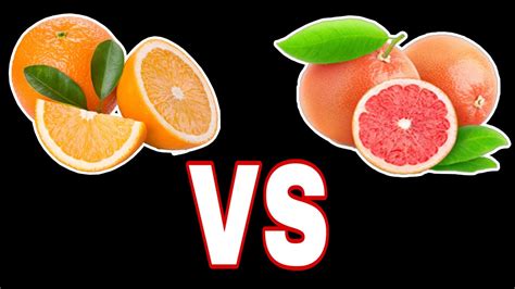 Orange Vs Grapefruit Winner Youtube