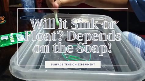 Will It Sink Or Float Depends On The Soap Surface Tension Experiment Youtube